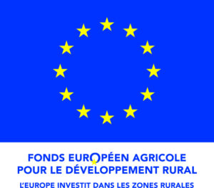 LOGO FEADER QUADRI